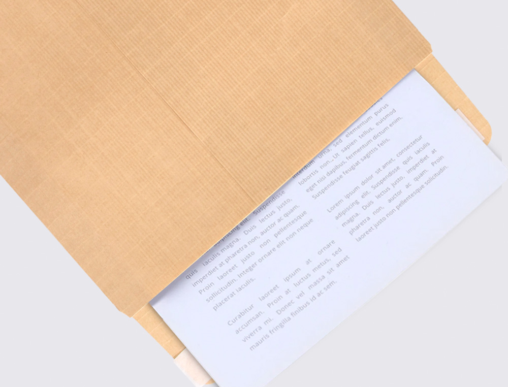 ENVELOPE LIDERPAPEL BOLSA FOLIO ESPECIAL CASTANHO 280X365X30 MM FOLE TIRA DE SILICONE PACK DE 50 UNIDADES
