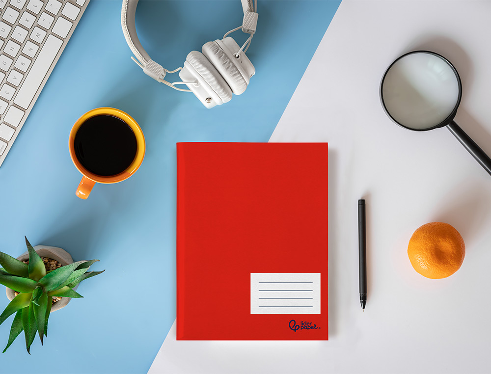 CADERNO AGRAFADO LIDERPAPEL SMART DIN A5+ 48 F 75GR PAUTADO COM DUPLA MARGEM CORES SORTIDAS